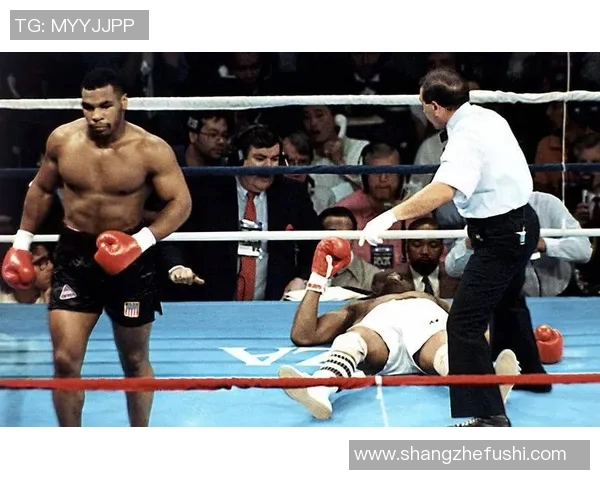 泰森与斯平克斯的巅峰对决：拳坛传奇的荣耀与挑战之战